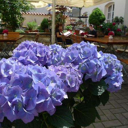 Hotel-Restaurant Roter Ochsen 라우하임 외부 사진